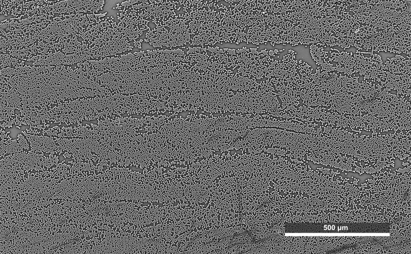 Is it possible to characterize the linear viscoelasticity of an anisotropic carbon fibers reinforced thermoplastic polymer?